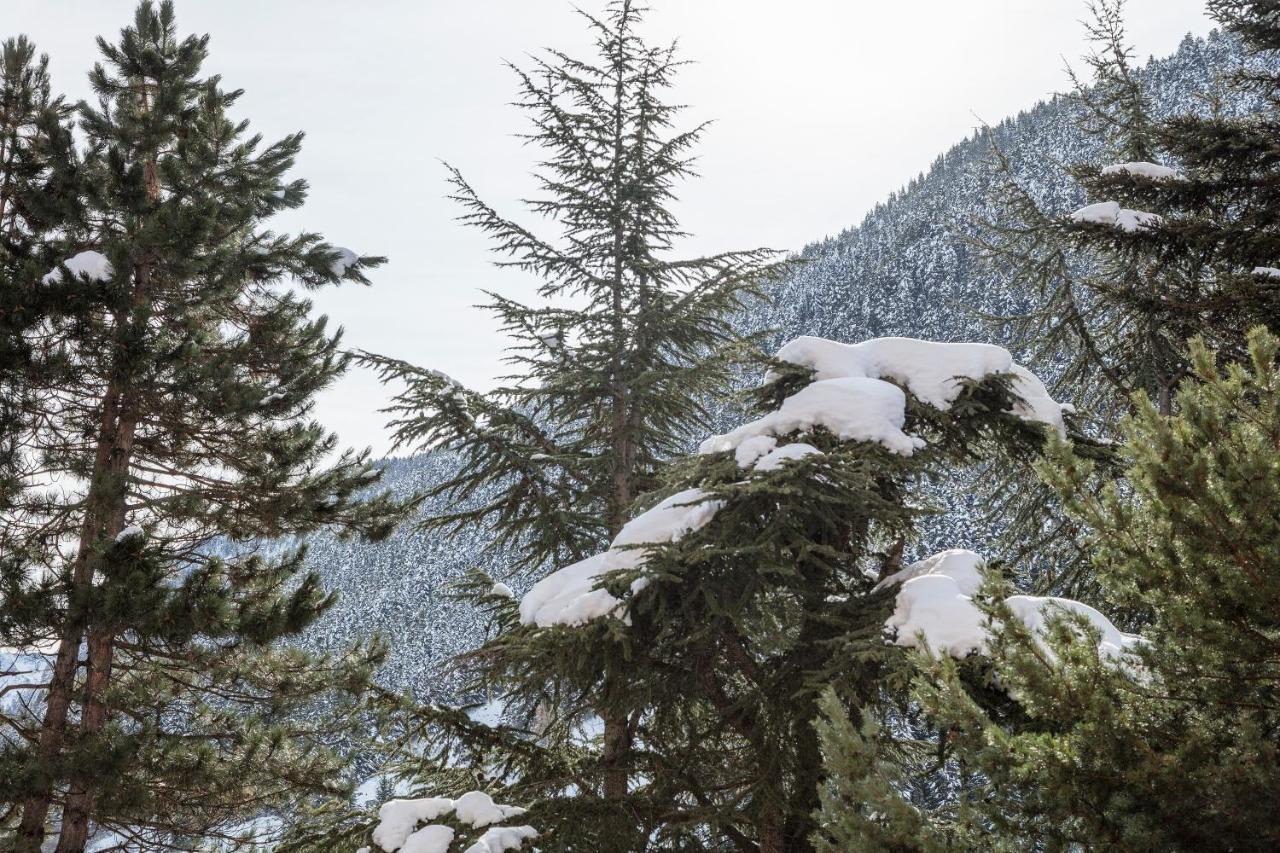 Naut AranApartamento Renovado Baqueira 1500公寓 外观 照片